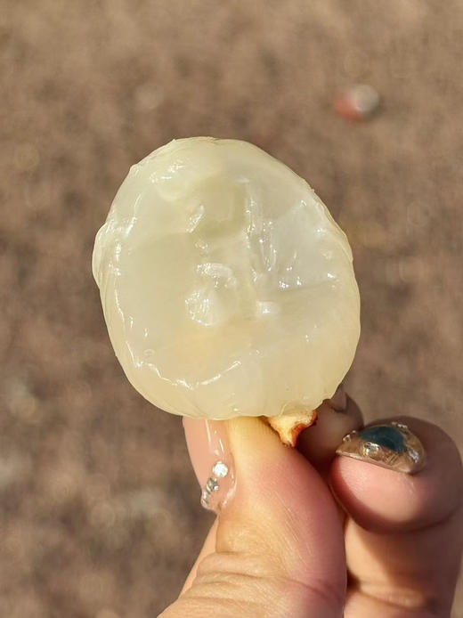 海南无核荔枝，每年只有这个时候有，产量很低，2斤/盒 商品图0