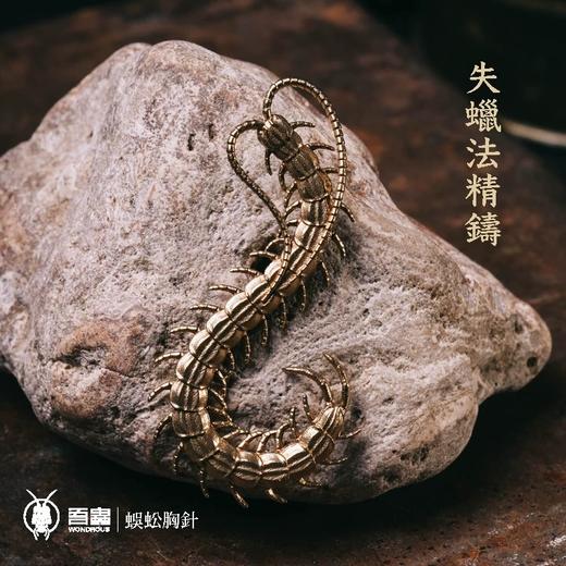 吾蟲 - 蜈蚣胸针 黄铜+滴胶 个性配饰饰品 昆虫节肢类主题礼品【官方授权  48小时发货】 商品图2