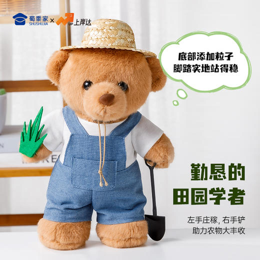 【农科站立小熊】创意毛绒小熊公仔儿童玩具服装可脱送礼礼物 商品图2