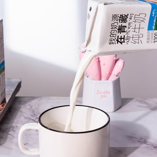 【光明&小西牛】青海纯牛奶 盒装纯牛奶 高原奶特惠量贩装250ml*20盒/箱 商品图11