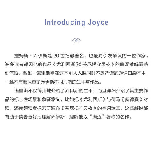 乔伊斯 图画通识丛书 《尤利西斯》《芬尼根守灵夜》作家乔伊斯不同凡响的生平与作品 三联书店旗舰店 商品图1