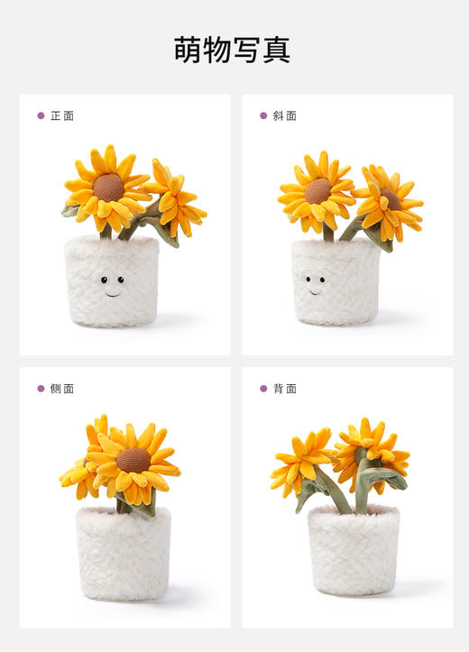 McHugs 阳光向日葵盆栽 商品图3