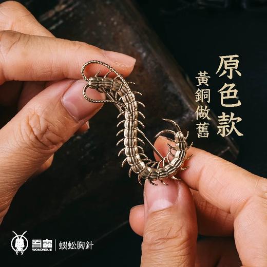 吾蟲 - 蜈蚣胸针 黄铜+滴胶 个性配饰饰品 昆虫节肢类主题礼品【官方授权  48小时发货】 商品图3