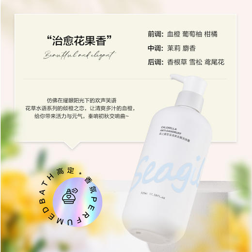 Seagilon森之露 清爽去屑洗发露520ml 6930494505320 商品图2