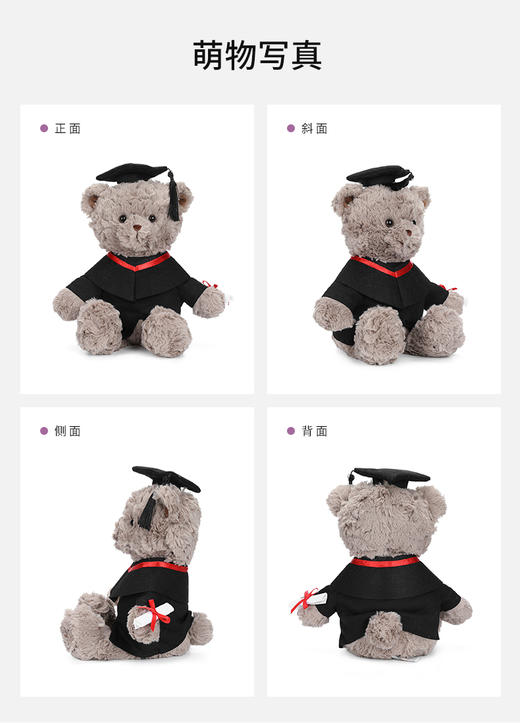 McHugs 毕业关心熊 25cm 商品图3