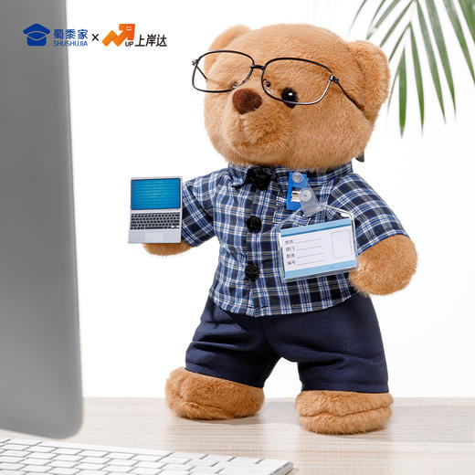 【程序员站姿熊】可定制创意毛绒职业小熊公仔儿童玩具服装可脱送礼礼物 商品图7