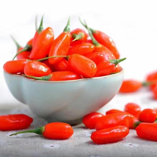 【现采现发 头茬鲜果】限量头茬鲜枸杞 宁夏中宁现摘现发 大颗粒鲜红枸杞 头茬大果500g（仅售1000份，预计7月15日下架） 商品图1