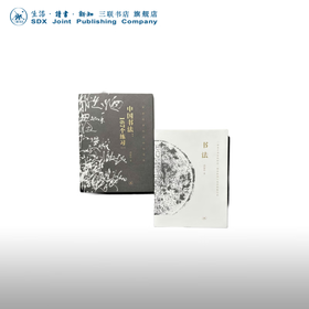 邱振中书法系列 书法+中国书法的167个练习 三联书店