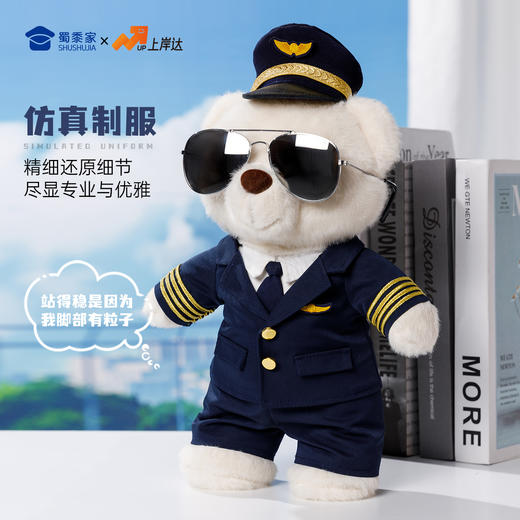 【机长&空姐站姿熊】可定制创意毛绒职业小熊公仔儿童玩具服装可脱送礼礼物 商品图3