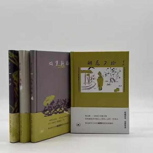 仿徨+呐喊+故事新编+朝花夕拾（套装共4册） 鲁迅 著  权威定本 名家导读 鲁迅研究专家 教授深度解析   三联书店旗舰店 商品图3