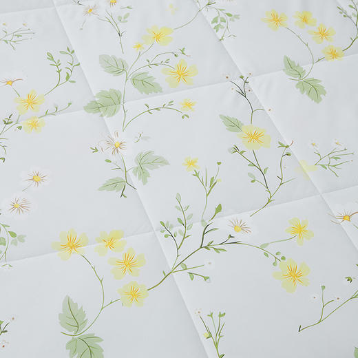 【多样屋专柜】梦洁柔梦夏被：蜜意花锦被子150*200 商品图3