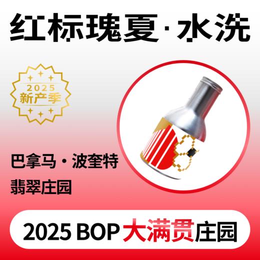捌比特 巴拿马·波奎特 翡翠庄园 红标瑰夏 水洗 浅度烘焙 精品咖啡豆/100g 商品图0