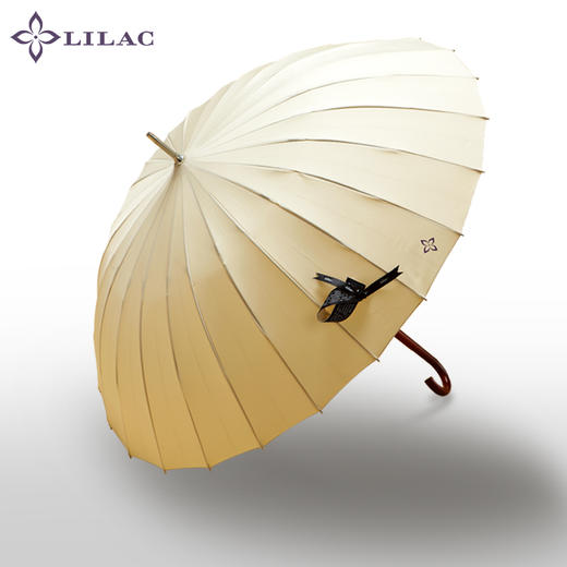 枫丹白露 24骨直骨自动抗风女士经典伞 商品图0