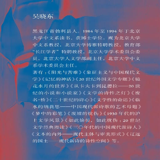 在北大阅读现代：十三堂文学讨论课 吴晓东 著 文化研究 三联书店 商品图1