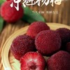 东魁杨梅（约500G） /份 商品缩略图1