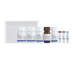 dsRNA(修饰)定量检测试剂盒(酶联免疫法) 2.0
