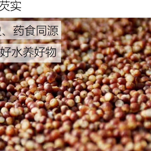 三蒸三晒红豆薏米芡实茶 （330克/瓶*2） 商品图1