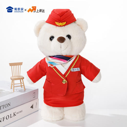 【机长&空姐站姿熊】可定制创意毛绒职业小熊公仔儿童玩具服装可脱送礼礼物 商品图9
