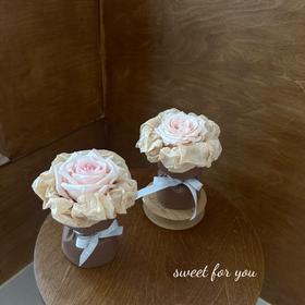 单支玫瑰（粉色）