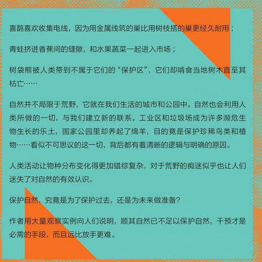自然新解 新知文库167 认识自然世界 颠覆传统生态观念  生态系统研究 人与自然联系 三联书店旗舰店 商品图2