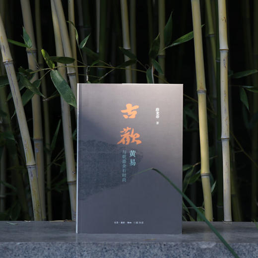 古欢：黄易与乾嘉金石时尚 薛龙春 著 收藏鉴赏 三联书店 商品图3
