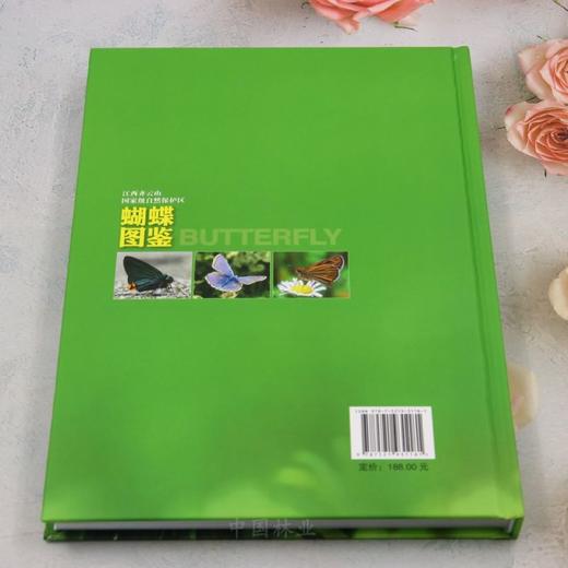 江西齐云山国家级自然保护区蝴蝶图鉴 &3118 商品图1