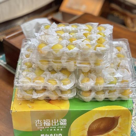新疆小白杏 商品图4