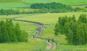 领队游记 | 宫崎骏动漫里的完美夏天都比不过呼伦贝尔！