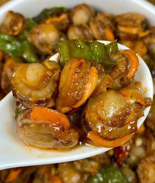 出口级扇贝 商品图4