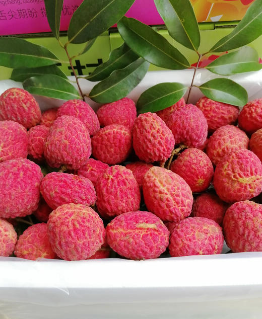 【广东省内】仙进奉荔枝 5斤装 商品图1