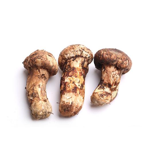 林端上品 鲜制云南野生松茸菌 商品图0