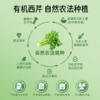 【鲜果冷榨】HPP西芹汁 245ml*1瓶 果蔬轻食轻盈口感 商品缩略图4