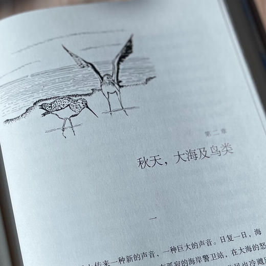 遥远的房屋：在科德角海滩一年的生活（二版） 亨利·贝斯顿 著 美国自然文学经典译丛  三联书店旗舰店 商品图1