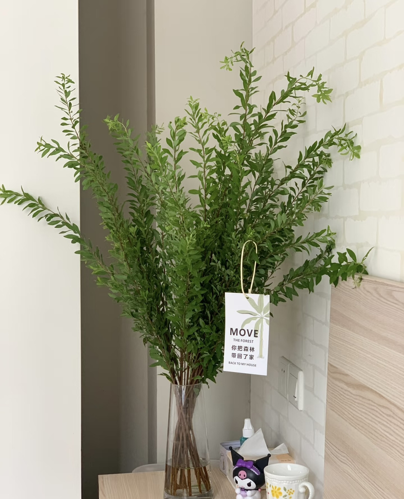 【夏日小清新】雪柳叶（绿色）若干枝/扎