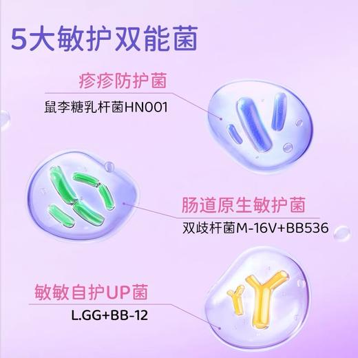 酷沛维敏仕  五联益生菌滴剂  12ml 商品图1