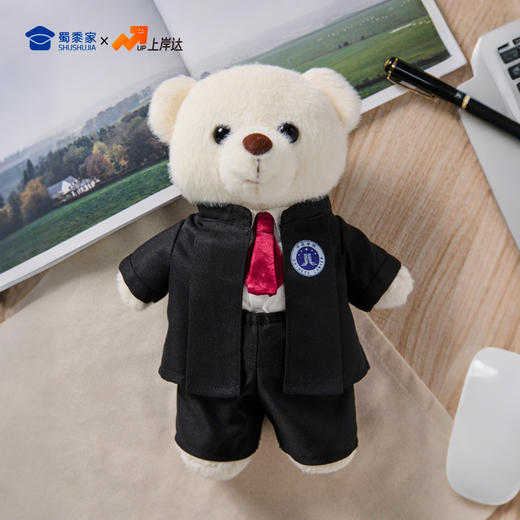 【律师站姿熊】可定制创意毛绒职业小熊公仔儿童玩具服装可脱送礼礼物 商品图8