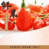 【现采现发 头茬鲜果】限量头茬鲜枸杞 宁夏中宁现摘现发 大颗粒鲜红枸杞 头茬大果500g（仅售1000份，预计7月15日下架） 商品缩略图2