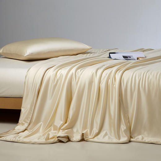 自然醒A类莹丝流光蚕丝夏被轻奢高端巴拿马蚕丝春夏季母婴级裸睡亲肤空调被薄被子可机洗纯色LFS 商品图4