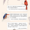 鸟事一堆：鸟界戏精观察报告 实用观鸟入门手册 北美蠢鸟指南续作  鸟类科普 三联书店旗舰店 商品缩略图1