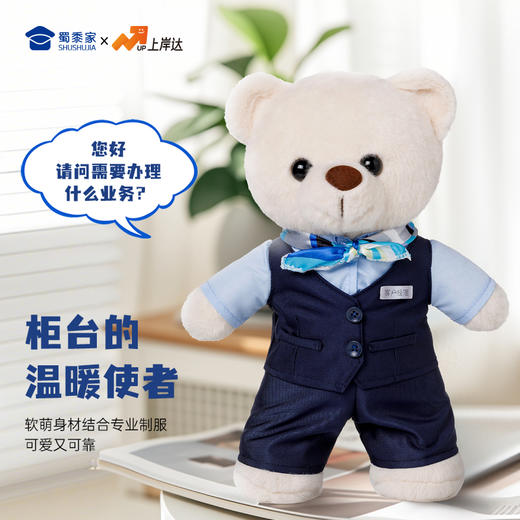 【银行职员站姿熊】可定制创意毛绒职业小熊公仔儿童玩具服装可脱送礼礼物 商品图2