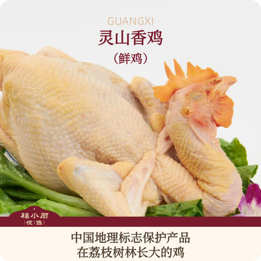 灵山香鸡（现宰鲜鸡，中国国家地理标志保护产品） 商品图1