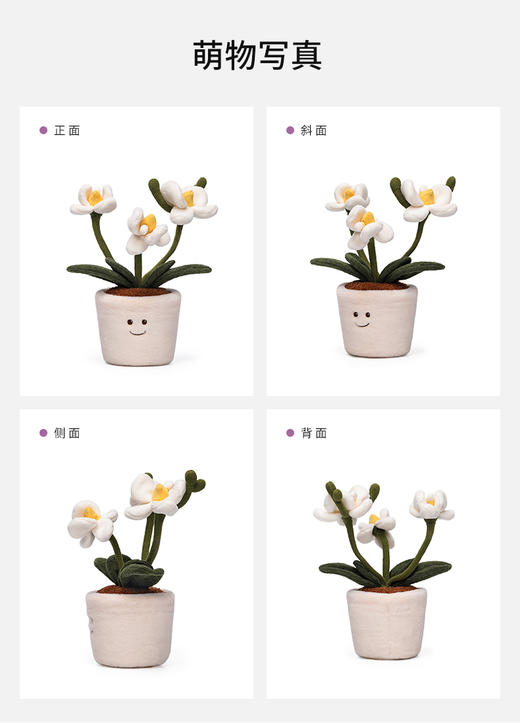 McHugs 芳菲兰花 商品图2