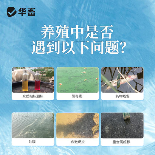 华畜碧水安水产养殖有机酸果酸解毒剂解毒调水净水除油膜降ph 商品图1