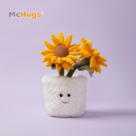 McHugs 阳光向日葵盆栽 商品图1