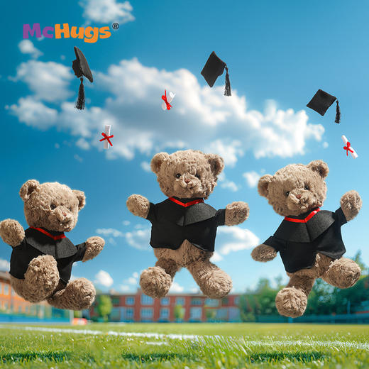 McHugs 毕业关心熊 25cm 商品图1