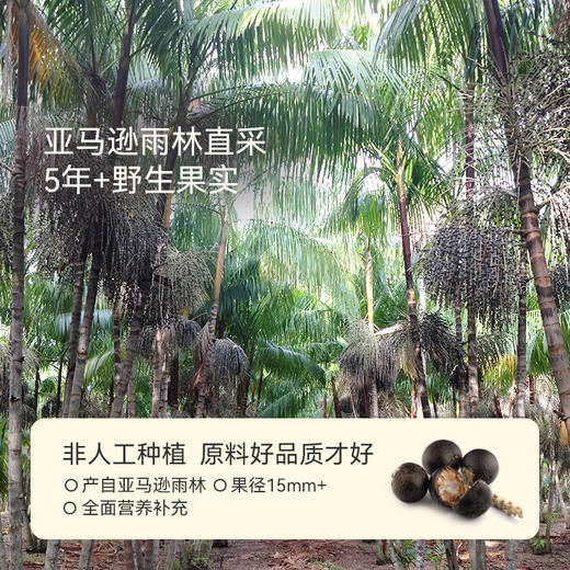 OH MyFood冻干巴西莓粉 商品图2