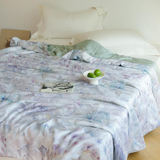 自然醒60支奥地利进口兰精天丝数码印花夏被HS 商品图0