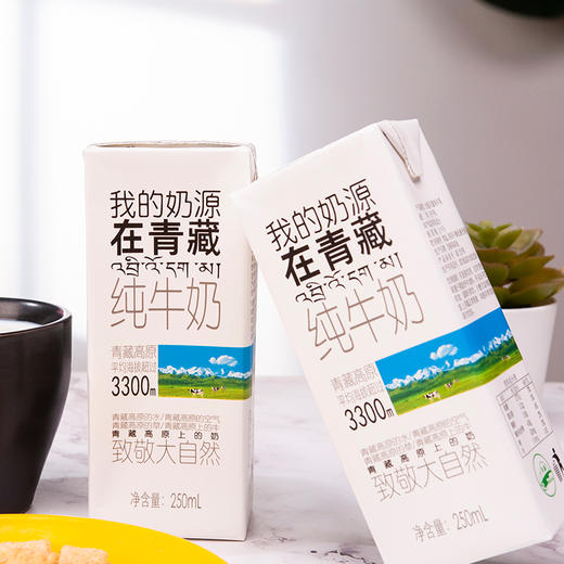 【光明&小西牛】青海纯牛奶 盒装纯牛奶 高原奶特惠量贩装250ml*20盒/箱 商品图10