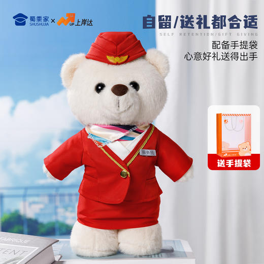 【机长&空姐站姿熊】可定制创意毛绒职业小熊公仔儿童玩具服装可脱送礼礼物 商品图5