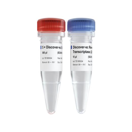 Discover-sc Reverse Transcriptase 商品图0